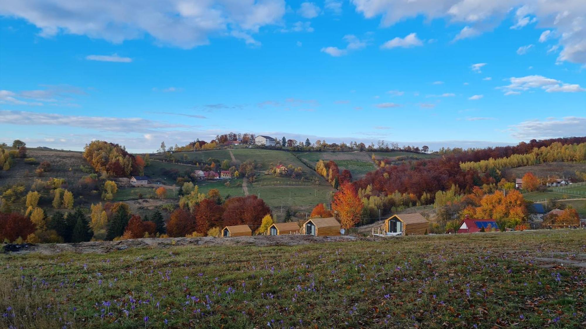 Poiana Mărului My Little Village מראה חיצוני תמונה